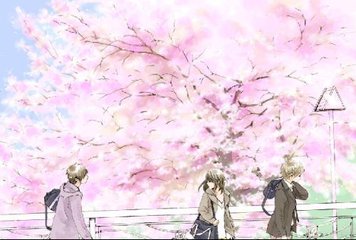中医养生馆女性私密大保健